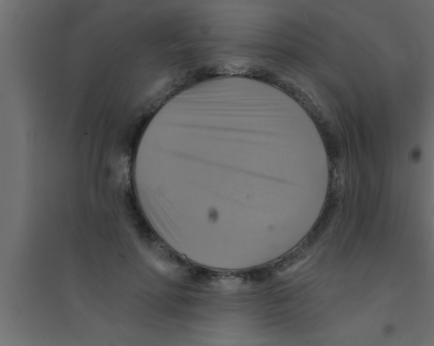 X0000094210598200711241701