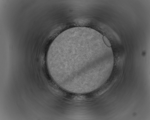 X0000094210599200711241701