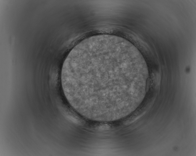 X0000094210600200711241701