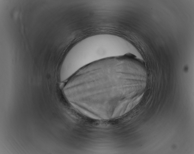 X0000094210601200711241701