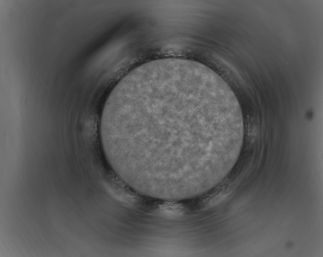 X0000094210603200711241701