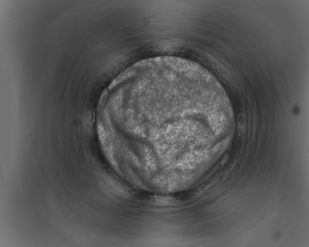 X0000094210605200711241701