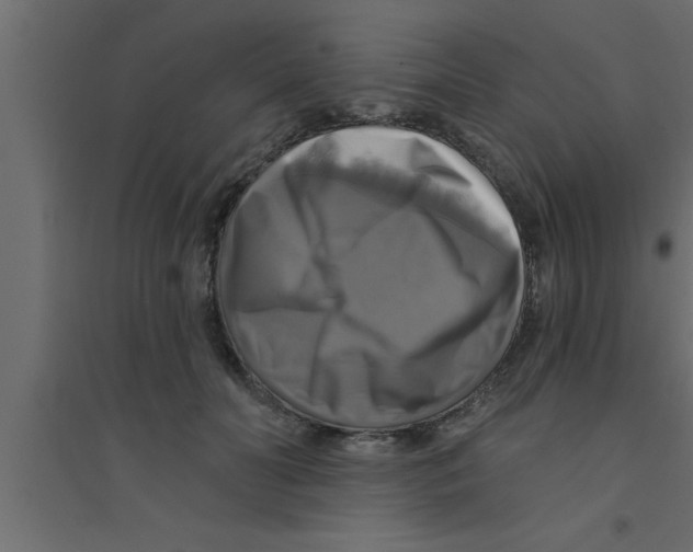 X0000094210606200711241701