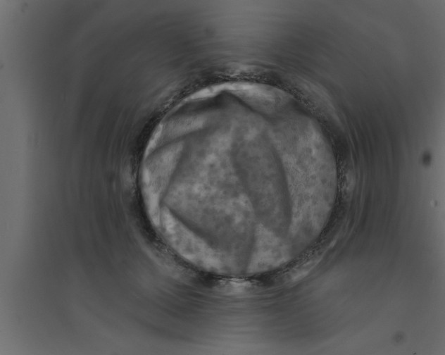 X0000094210607200711241701