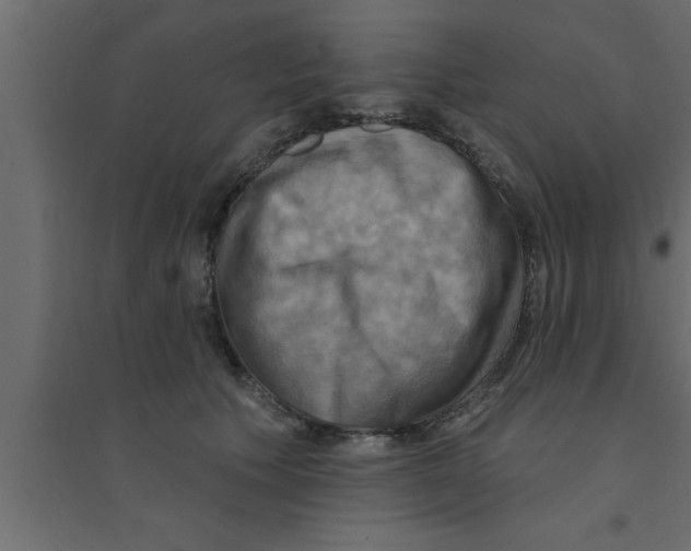 X0000094210609200711241701