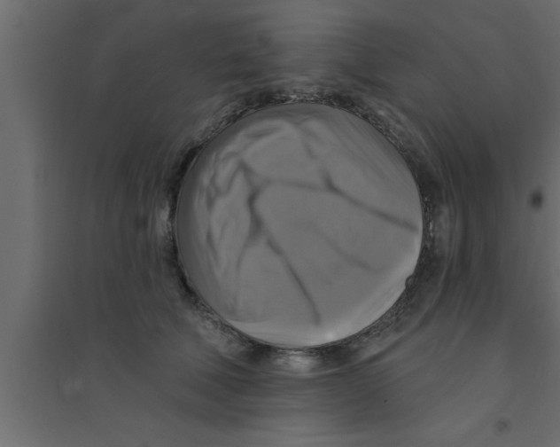 X0000094210610200711241701