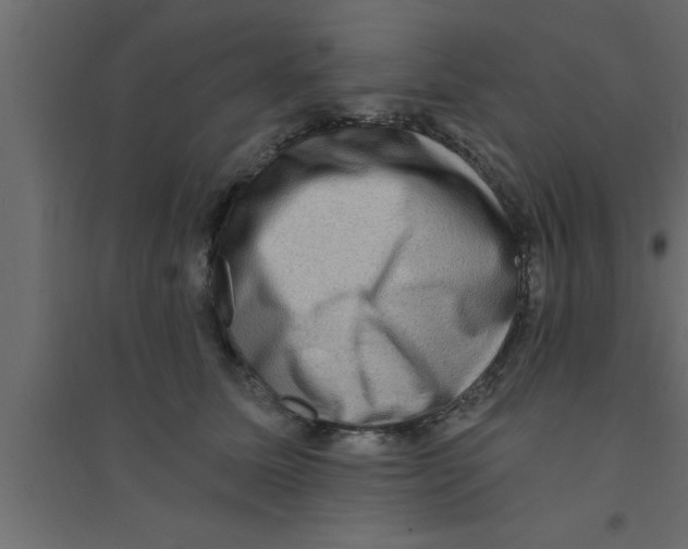 X0000094210611200711241701
