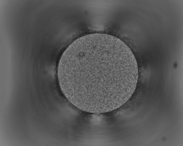 X0000094210612200711241701
