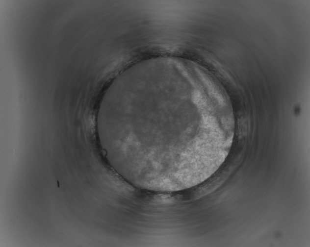 X0000094210613200711241701