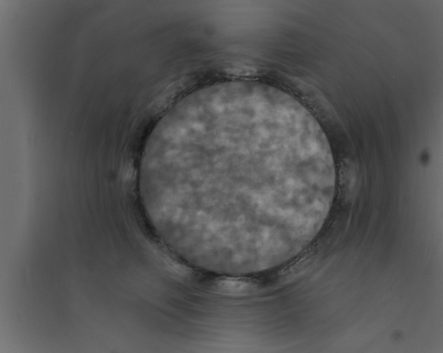 X0000094210614200711241701