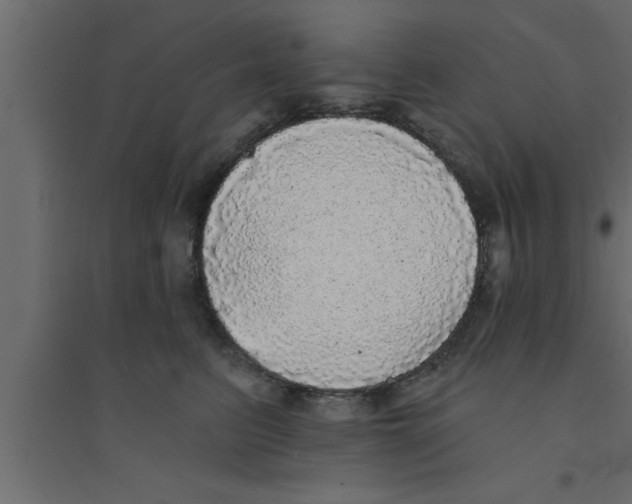 X0000094210615200711241701