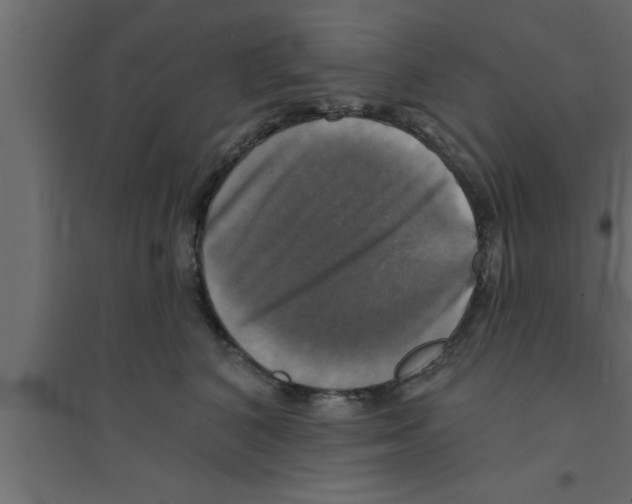 X0000094210616200711241701