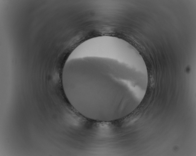 X0000094210618200711241701