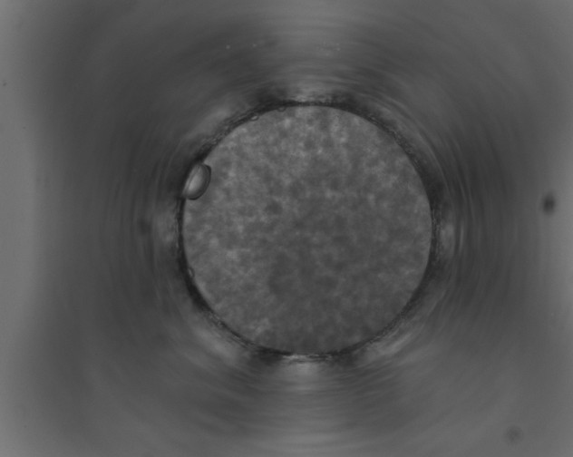 X0000094210620200711241701