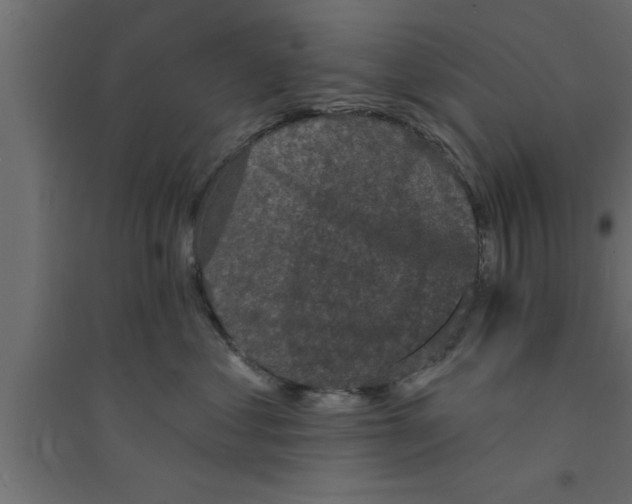 X0000094210621200711241701