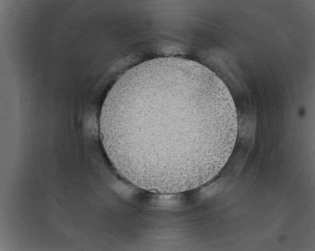 X0000094210622200711241701