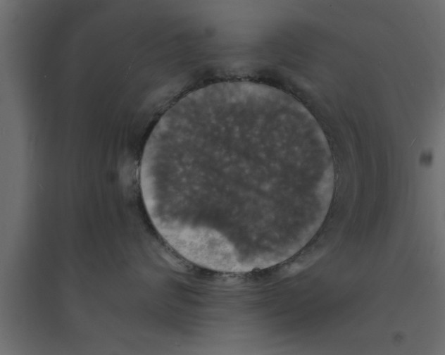 X0000094210624200711241701