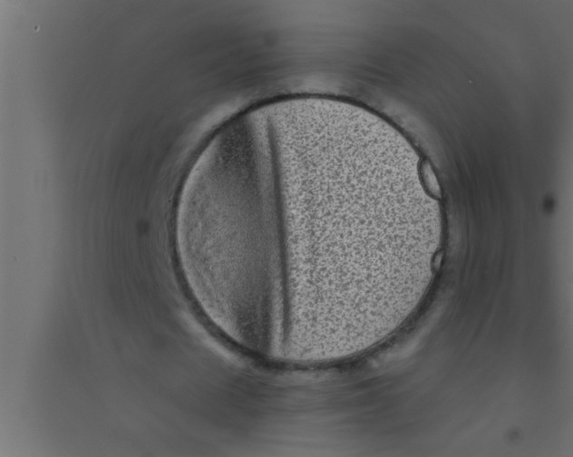 X0000094210625200711241700