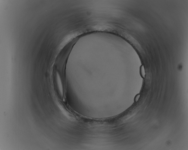 X0000094210626200711241700