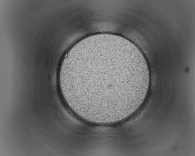 X0000094210629200711241700