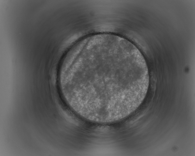 X0000094210631200711241700