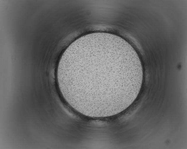 X0000094210633200711241700