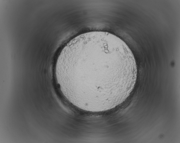 X0000094210638200711241701