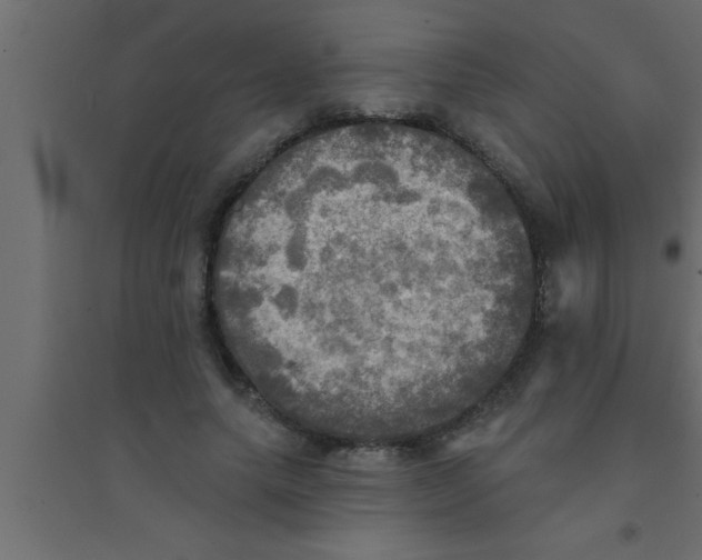 X0000094210639200711241701