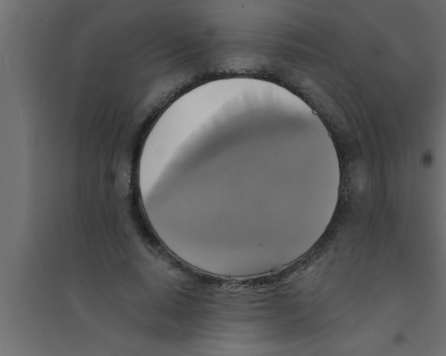 X0000094210640200711241701