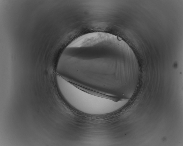 X0000094210641200711241701