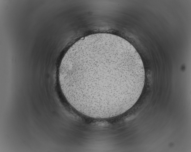 X0000094210642200711241701