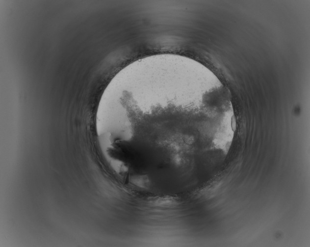 X0000094210643200711241701