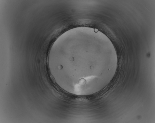 X0000094210644200711241701