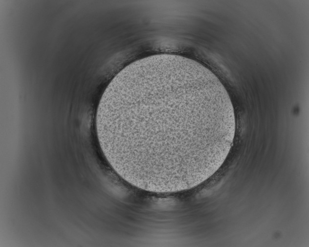 X0000094210645200711241701