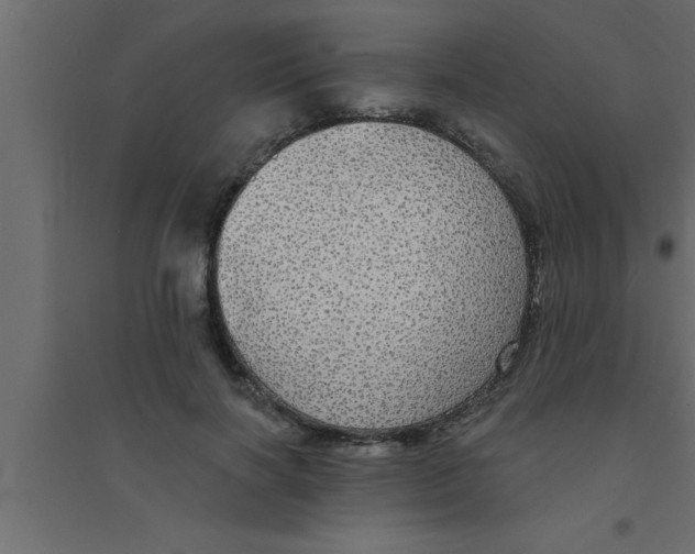 X0000094210646200711241701