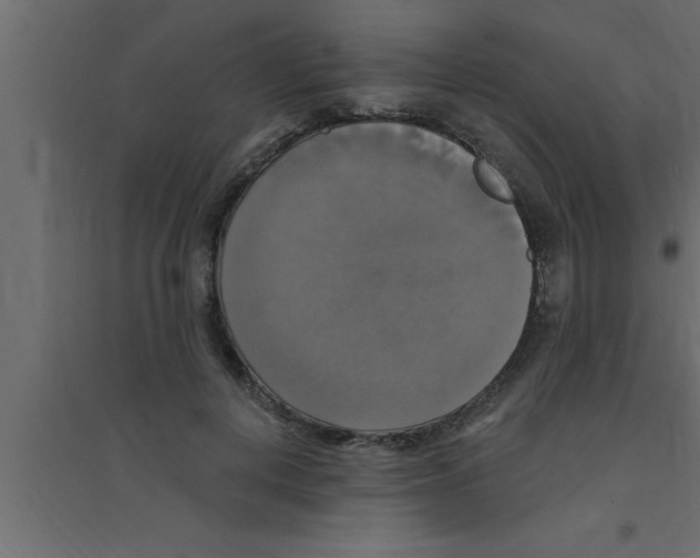 X0000094210648200711241701