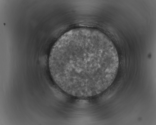 X0000094210649200711241701