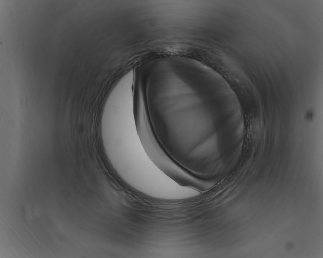 X0000094210651200711241701