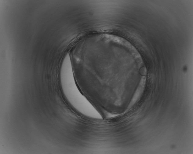 X0000094210652200711241701