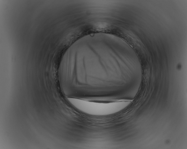X0000094210653200711241701