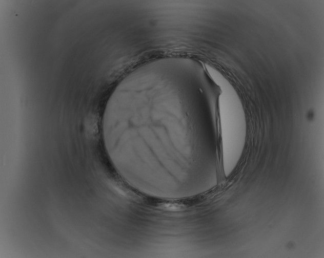 X0000094210654200711241701