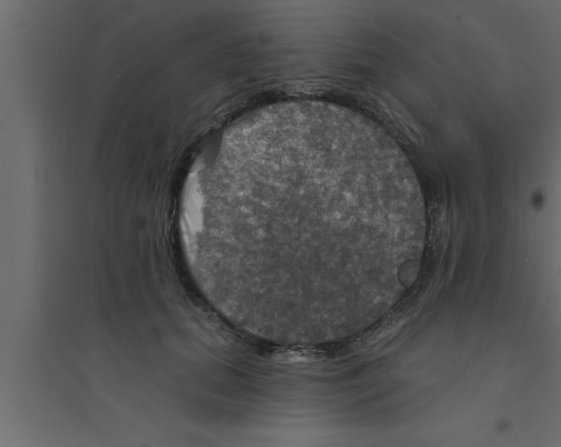 X0000094210655200711241701