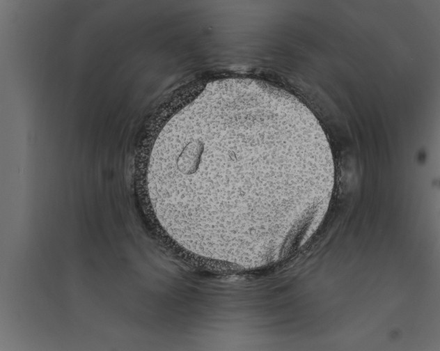 X0000094210656200711241701