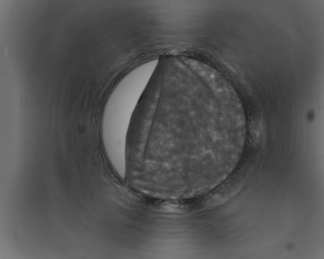 X0000094210657200711241701