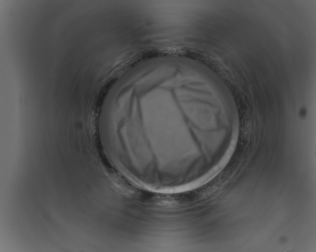X0000094210658200711241701