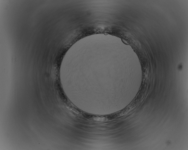 X0000094210659200711241701