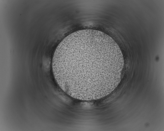 X0000094210660200711241701