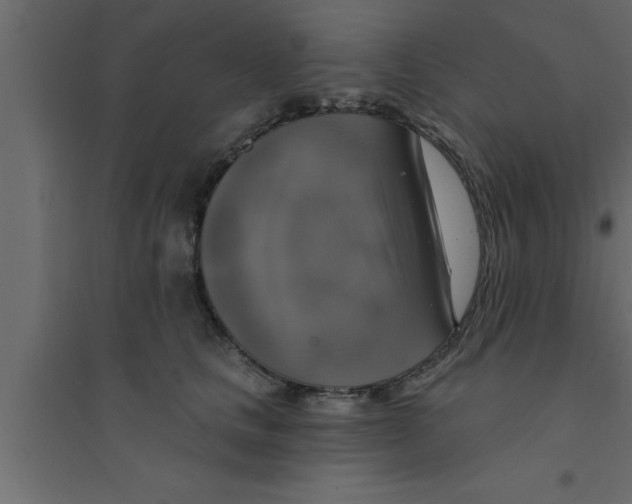X0000094210661200711241701