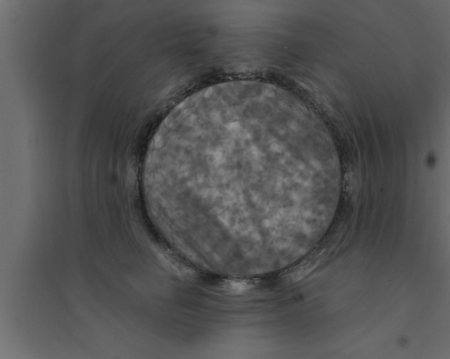 X0000094210662200711241701