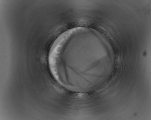X0000094210663200711241701